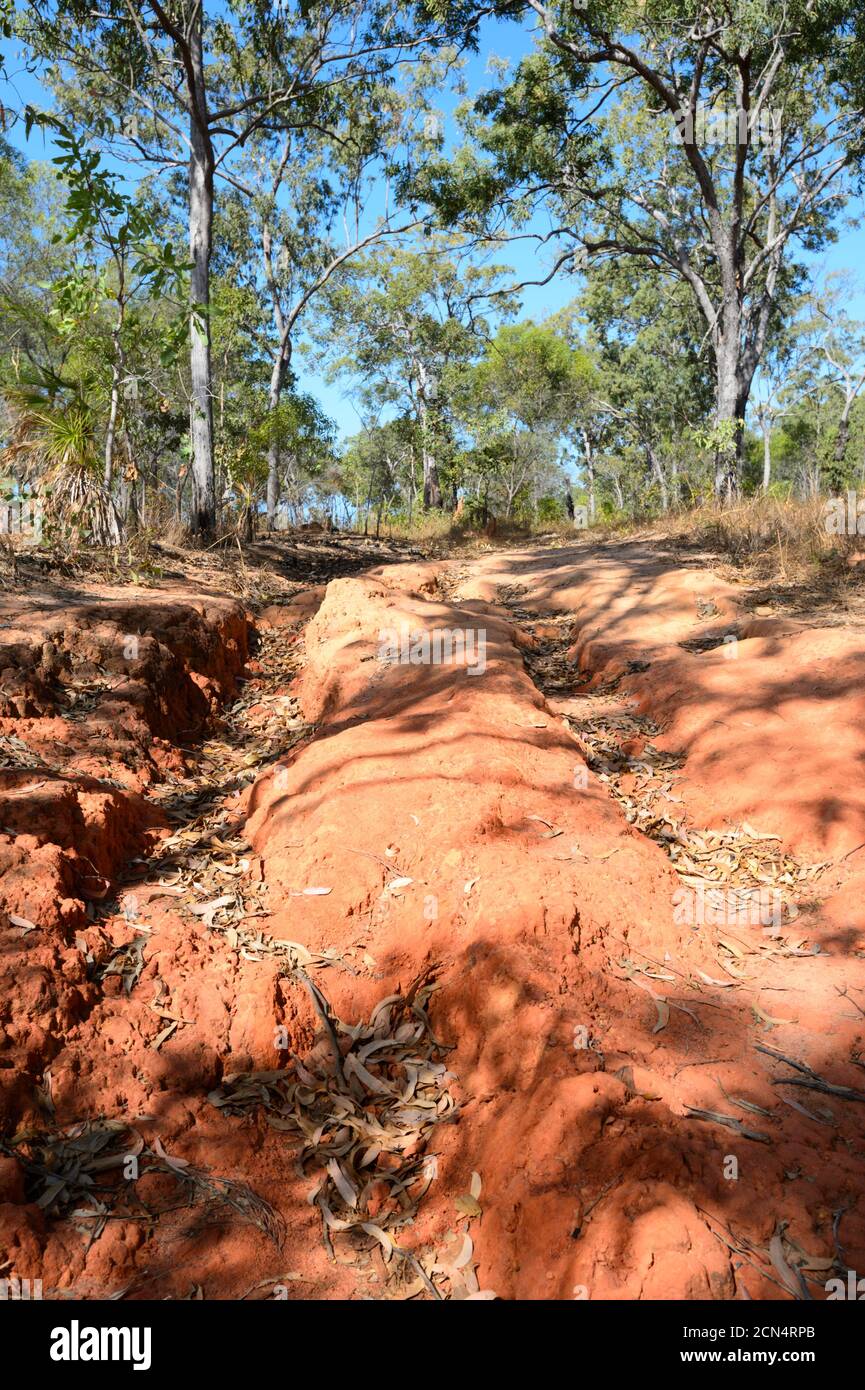 Severe soil erosion on a rutted track near Nhulunbuy, Gove Peninsula, East Arnhem Land, Northern Territory, NT, Australia Stock Photo