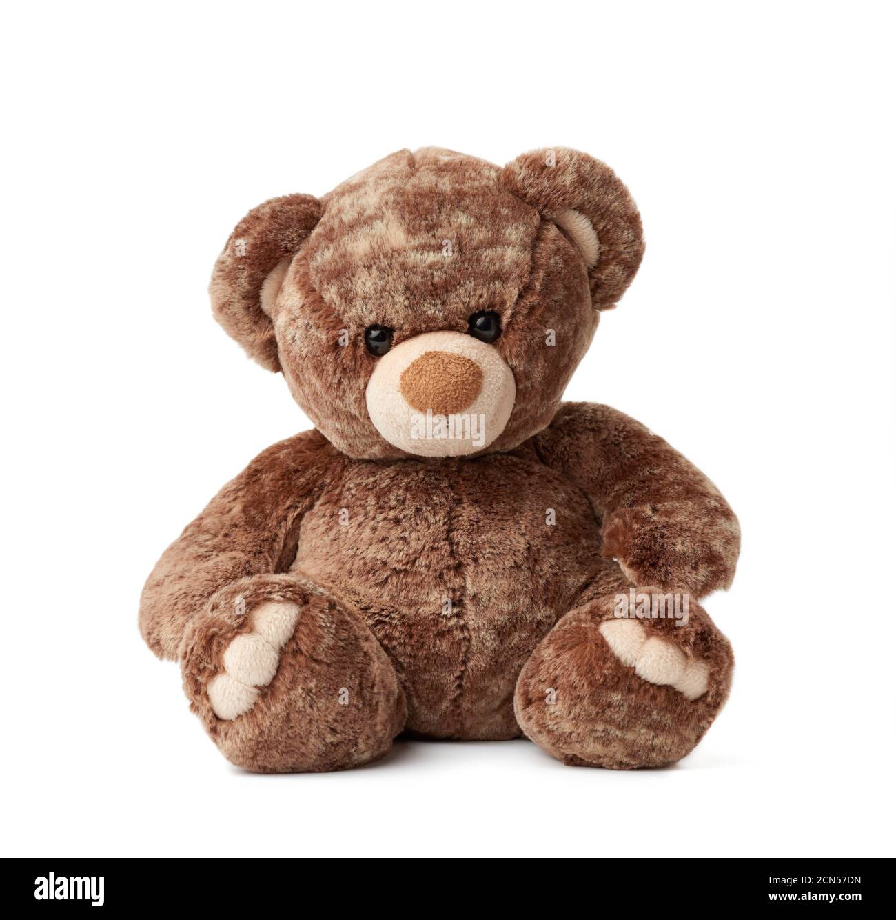 cute brown teddy bear sits on a white isolated background Stock Photo ...