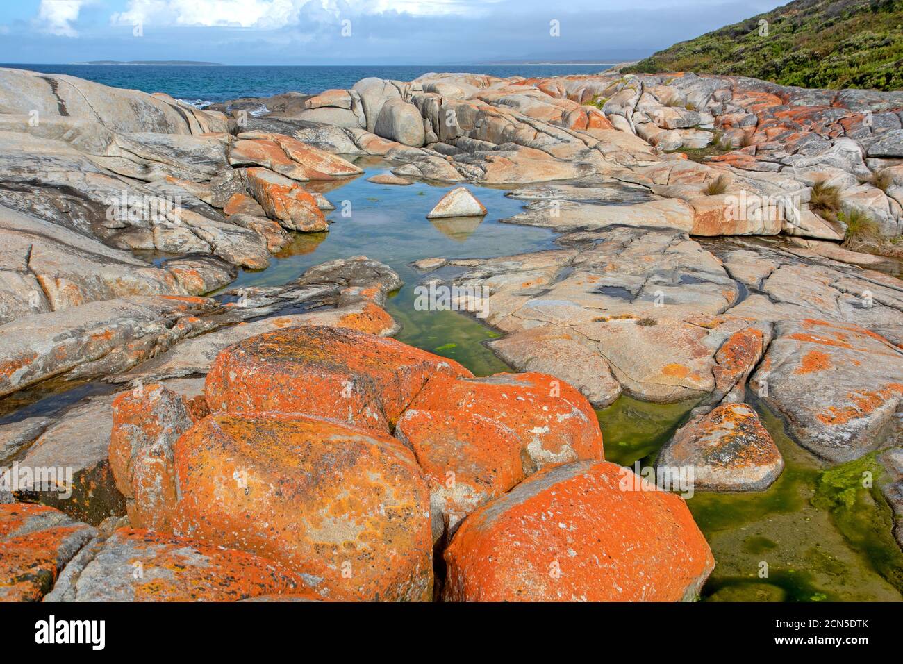 Headland at Beerbarrel Beach, St Helens Point Conservation Area Stock
