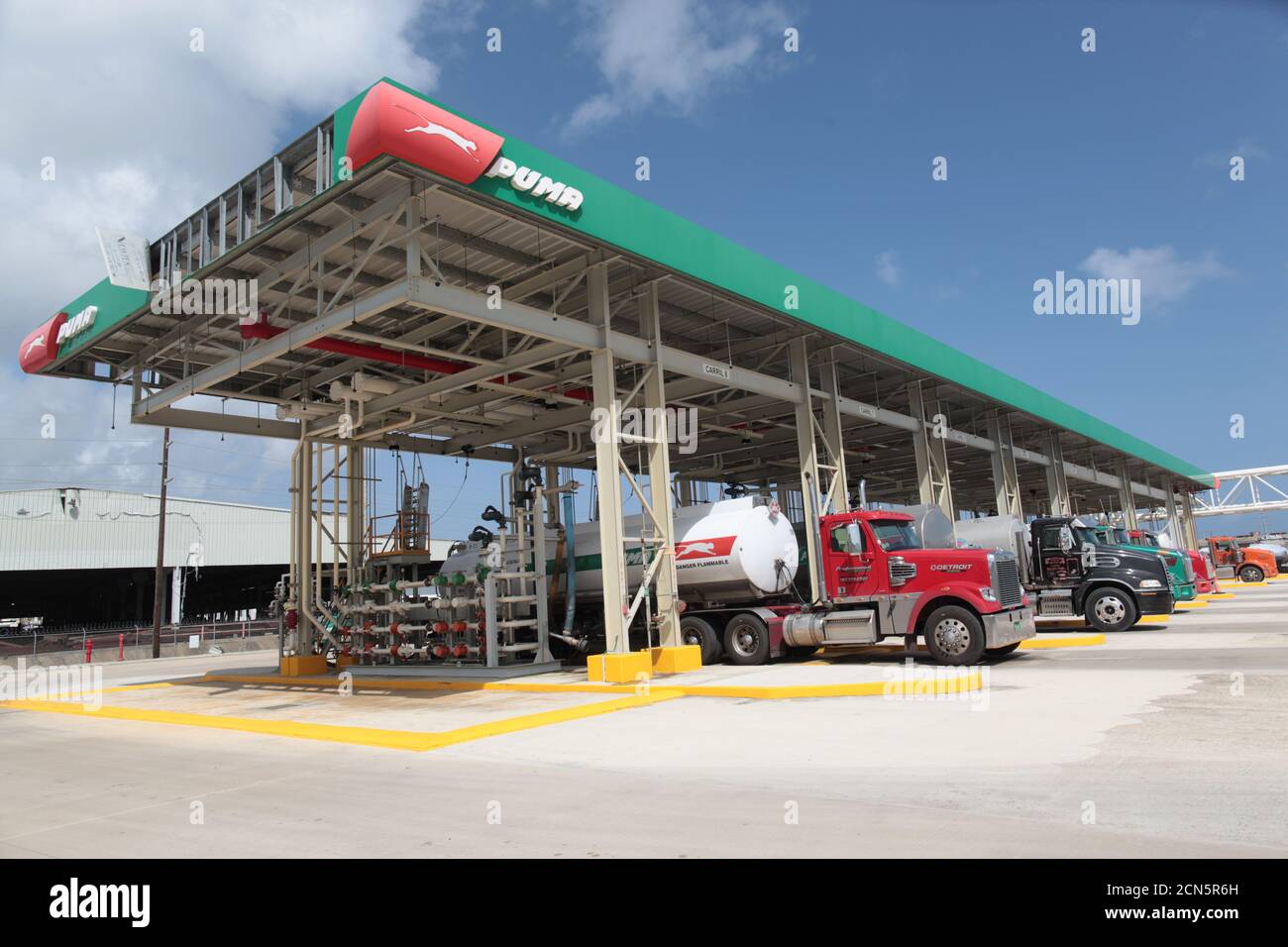 puma california high