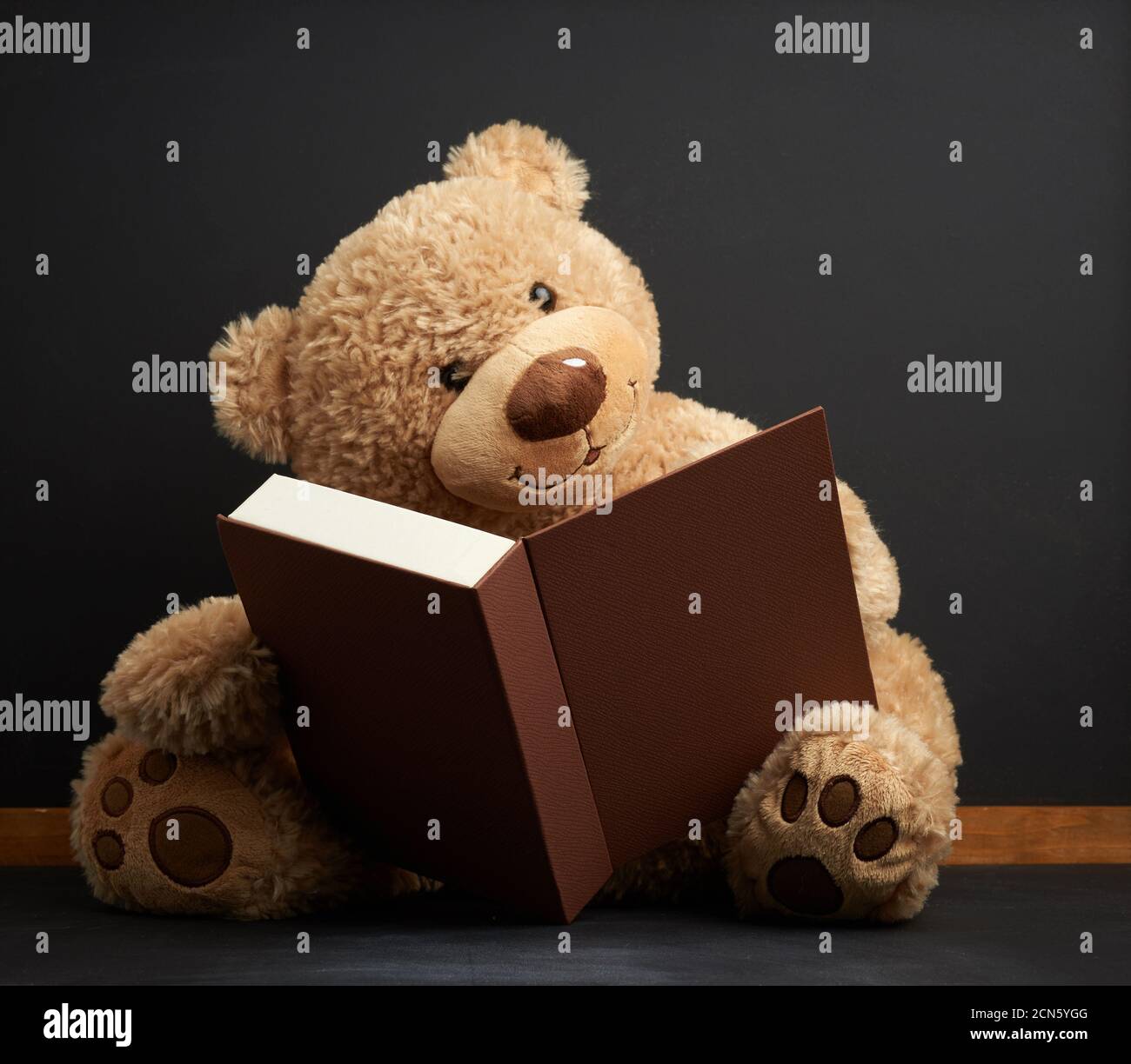 dark brown teddy bears