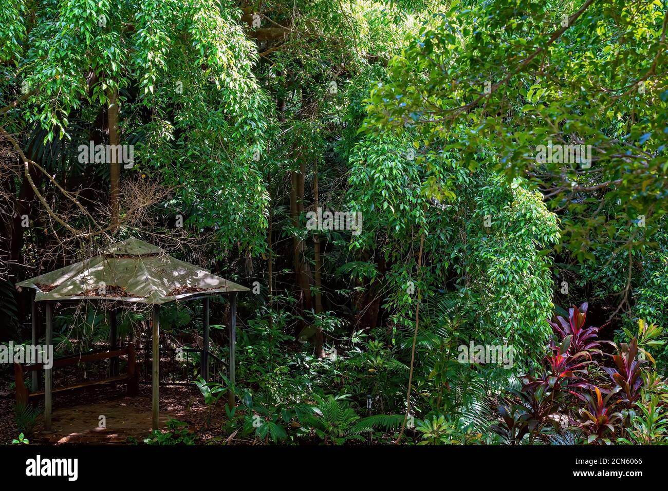 An overgrown country garden with a shade house covered in fallen leaves Stock Photo