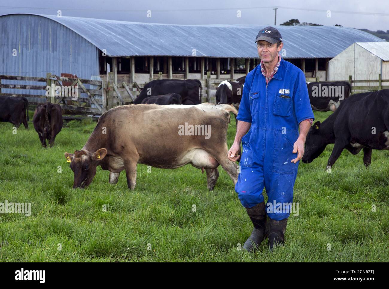 Dairy farmer Keith Trotter stands in a field near milking sheds amongst his herd of cows on his farm in the town of Matakana, located north of Auckland, New Zealand, September 24, 2015. New Zealand dairy processor Fonterra increased its milk price payout forecast and reported a 183 percent rise in full-year profit on Thursday amid a modest recovery from this year's plummet in global dairy prices. The world's largest dairy exporter said net profit after tax was NZ$506 million ($317.36 million) in the year to July 31, compared with NZ$179 million a year ago.  REUTERS/Nigel Marple Stock Photo