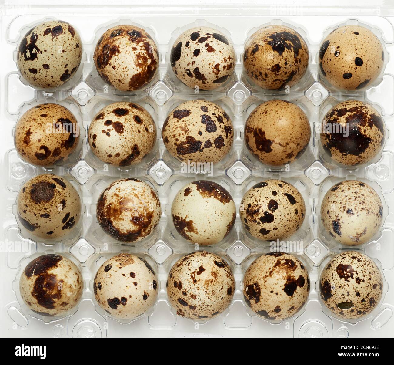 raw whole quail eggs in a plastic tray, top view Stock Photo