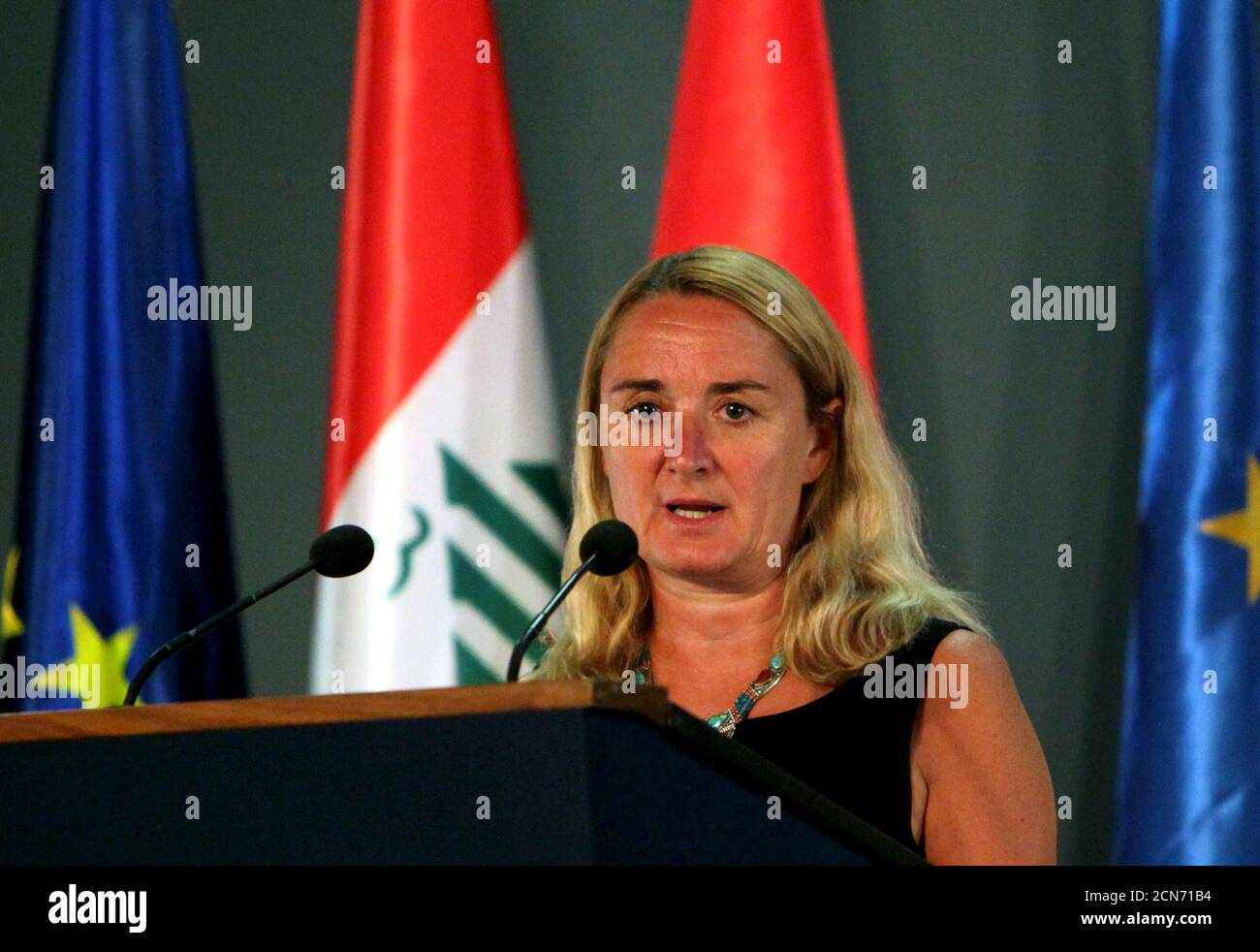 Page 2 European Union Ambassador High Resolution Stock Photography And Images Alamy