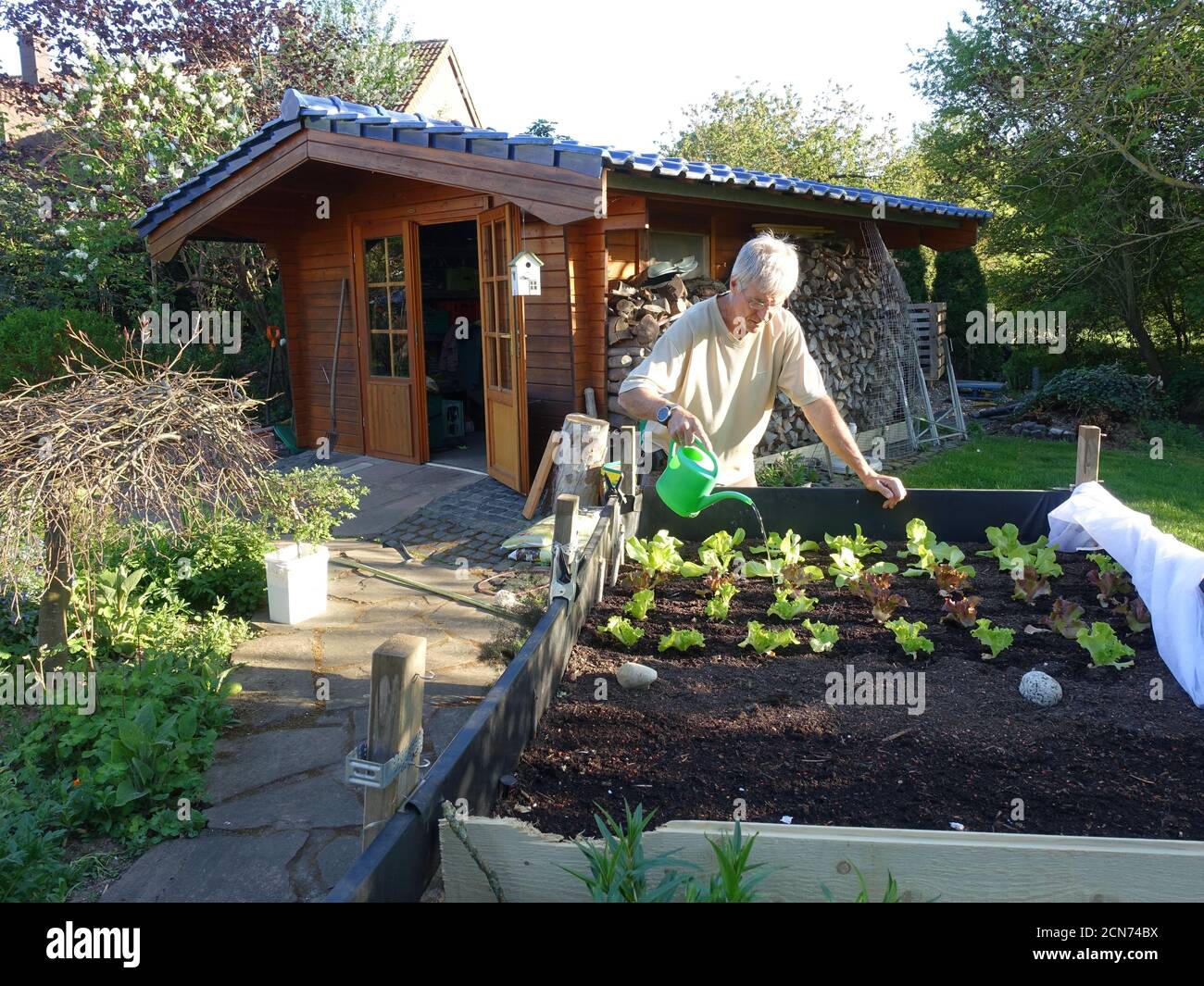 Watering plants in a raised bed hi-res stock photography and images - Alamy
