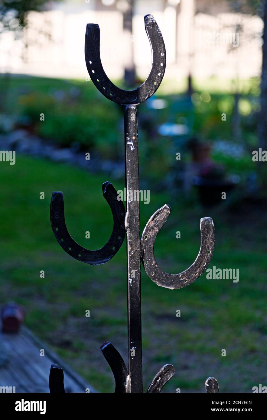 horseshoes that are welded together Stock Photo Alamy