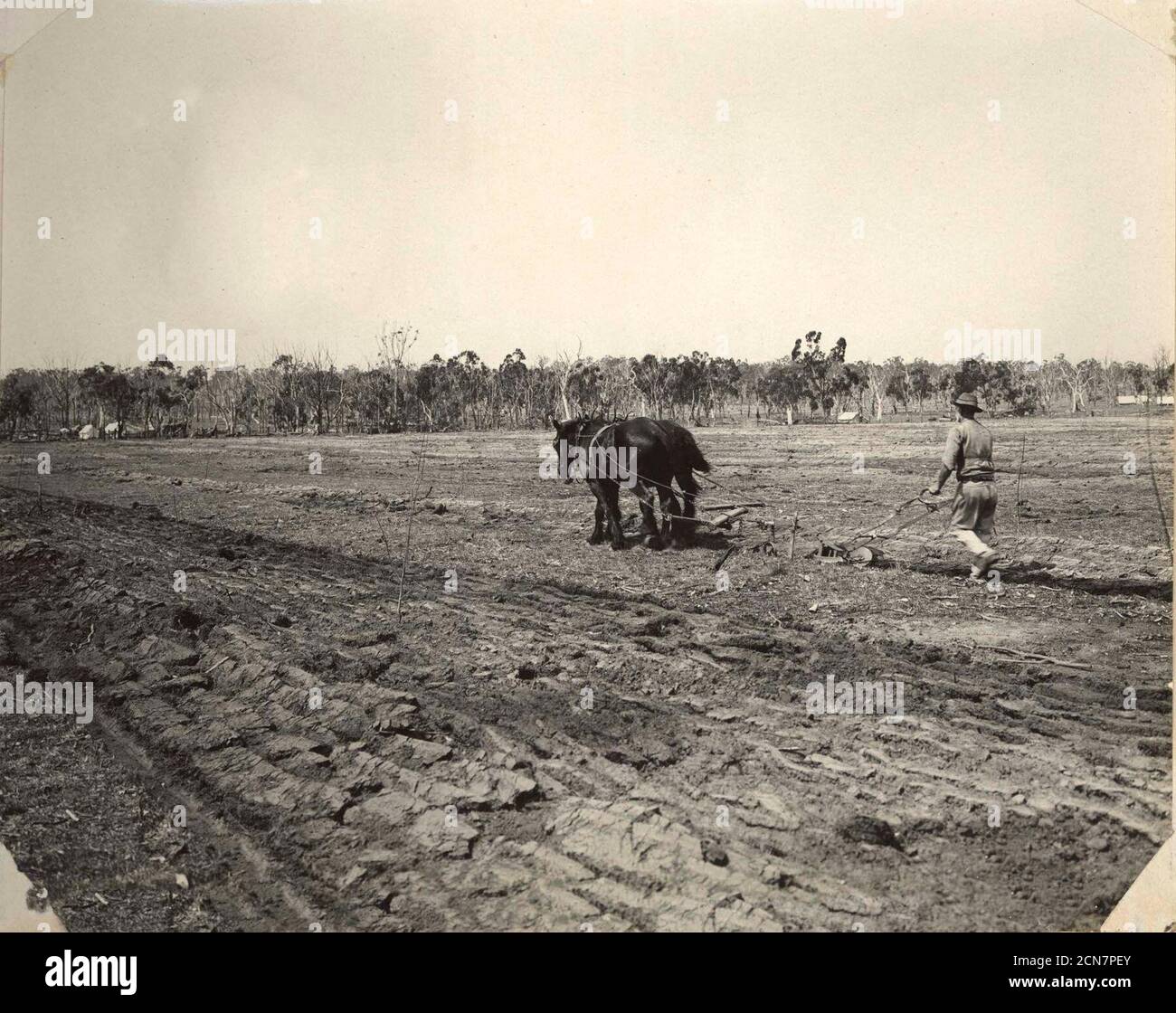 Kentucky Soldiers' Settlement Estate ploughing a field Stock Photo