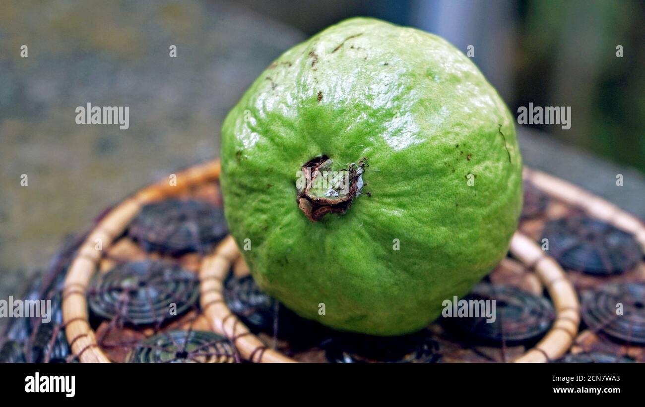 Close up of guava fruit Stock Photo - Alamy