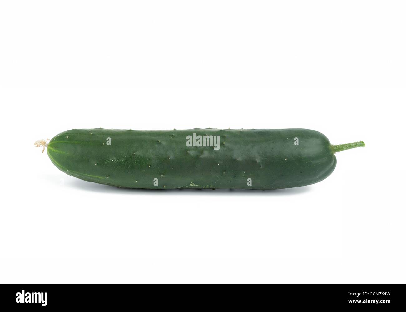 green oblong cucumber isolated on white background Stock Photo