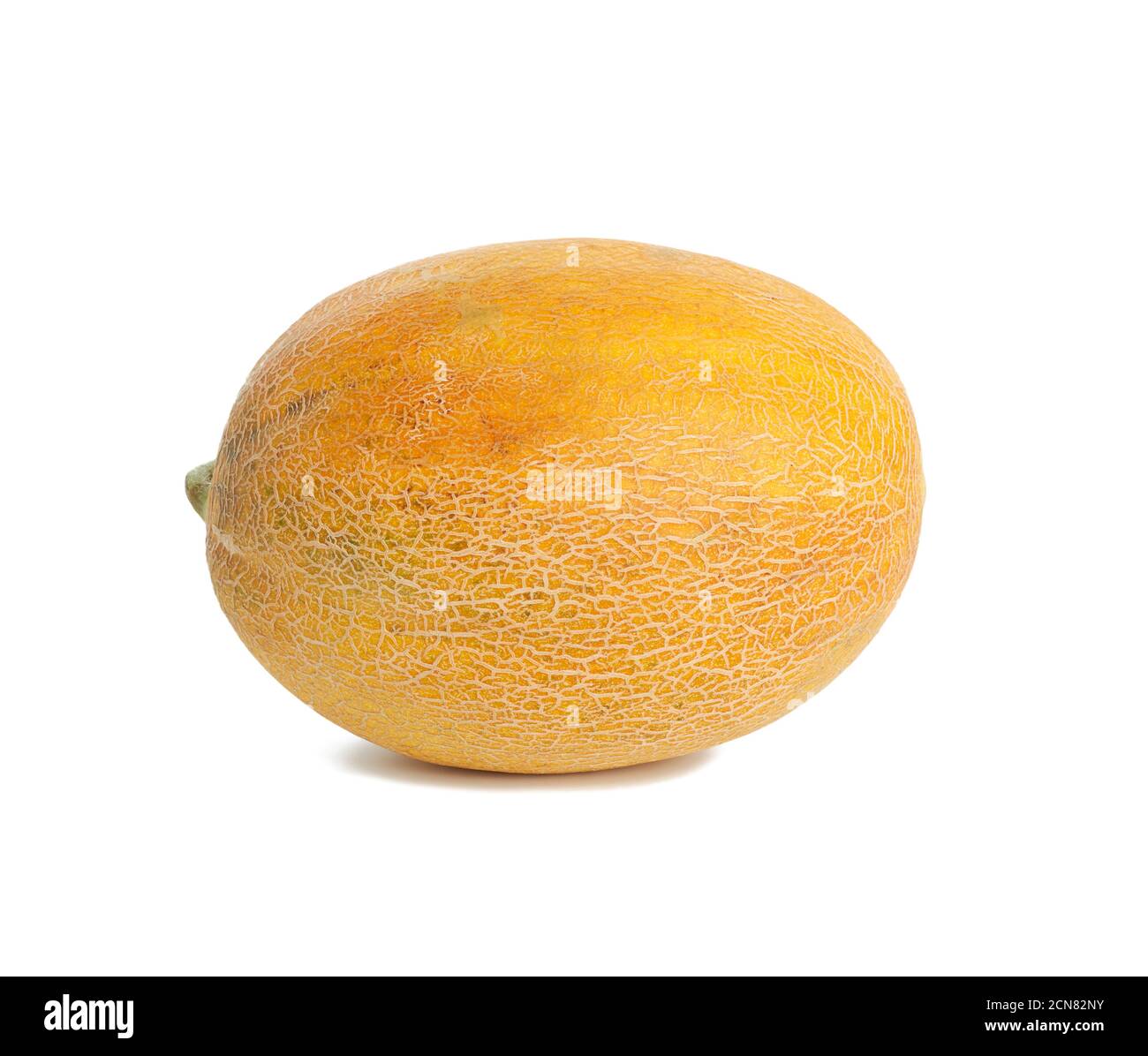 round yellow ripe melon isolated on white background Stock Photo