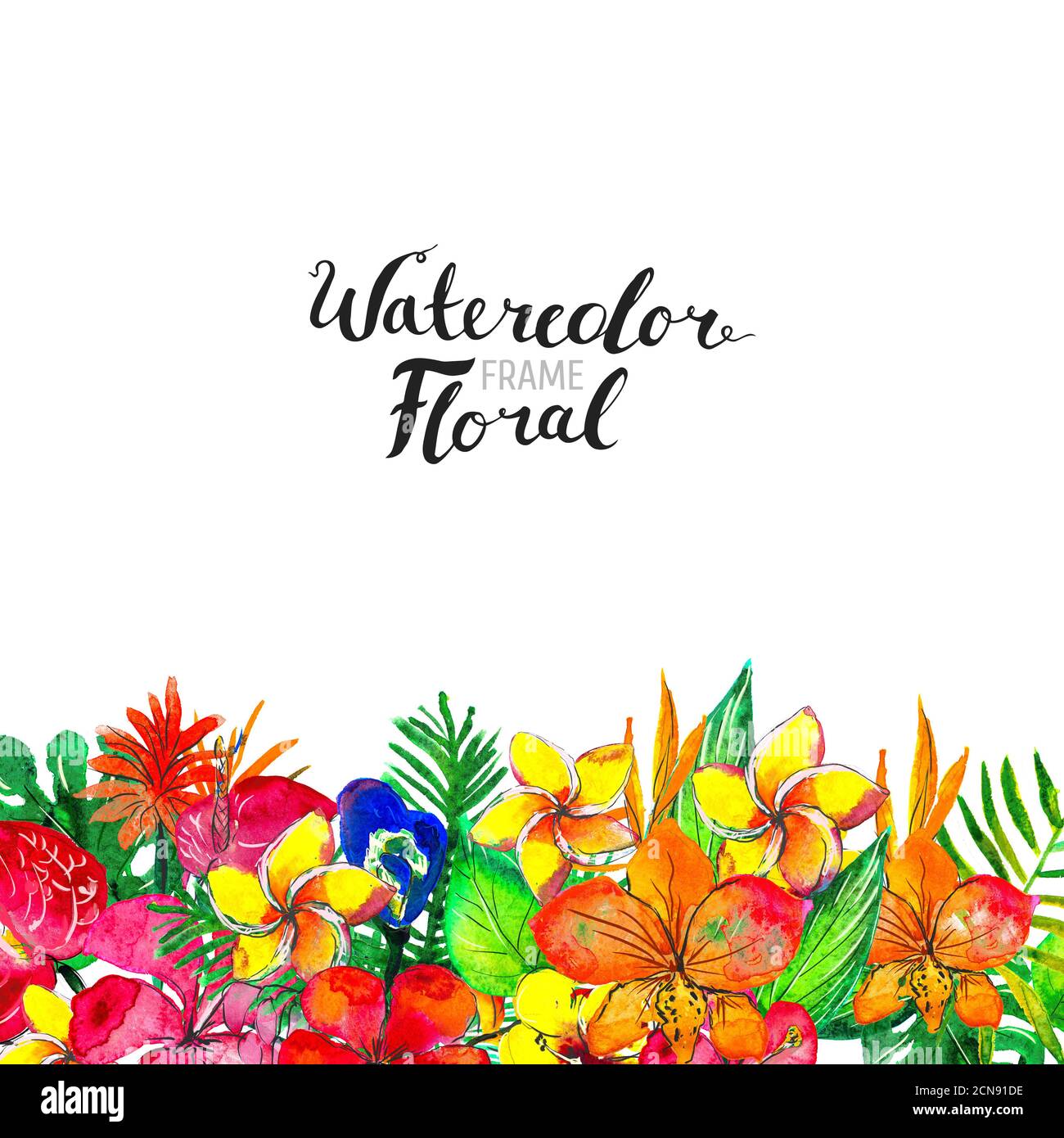 Watercolor Background with tropical plants and flowers Stock Photo - Alamy