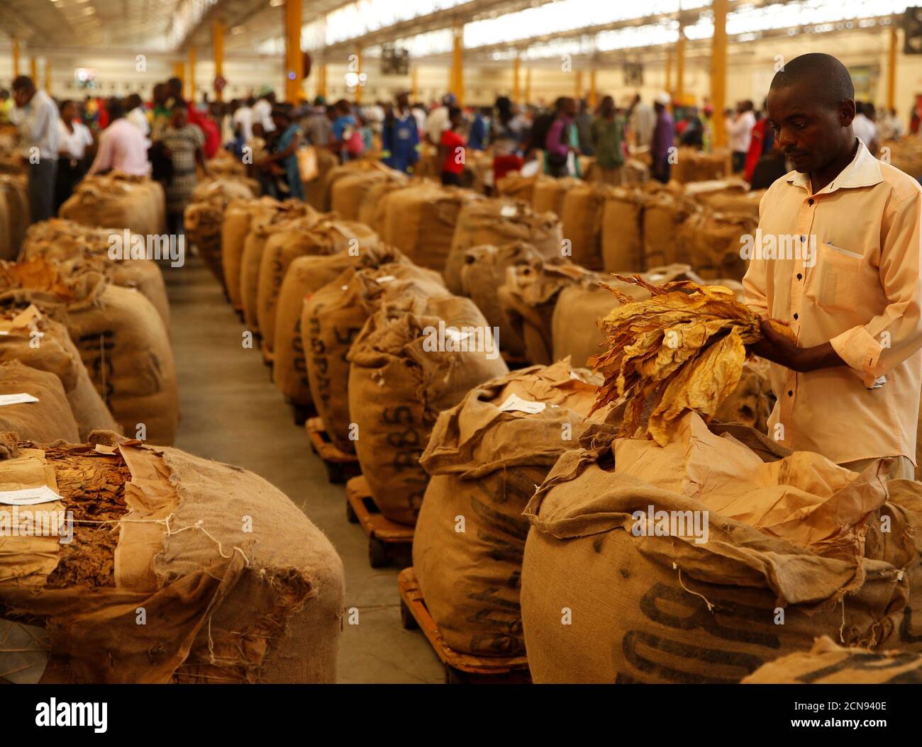 Workers await the start of the marketing season at Tobacco Sales Floor in Harare, Zimbabwe, March 21, 2018. REUTERS/Philimon Bulawayo Stock Photo