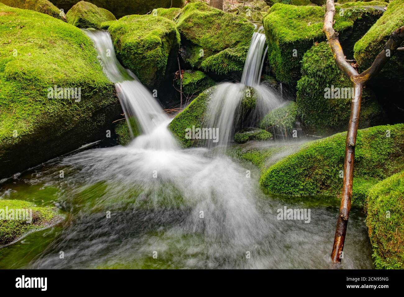 Breathing of rain forest, waterfall on stream Stock Photo