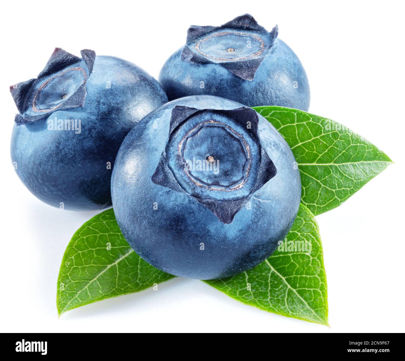 Blueberry Isolate On White Three Blueberries On A White Background One Blueberry Cut In Half And The Seeds Of The Berry Are Visible Photo For Stock Photo Alamy