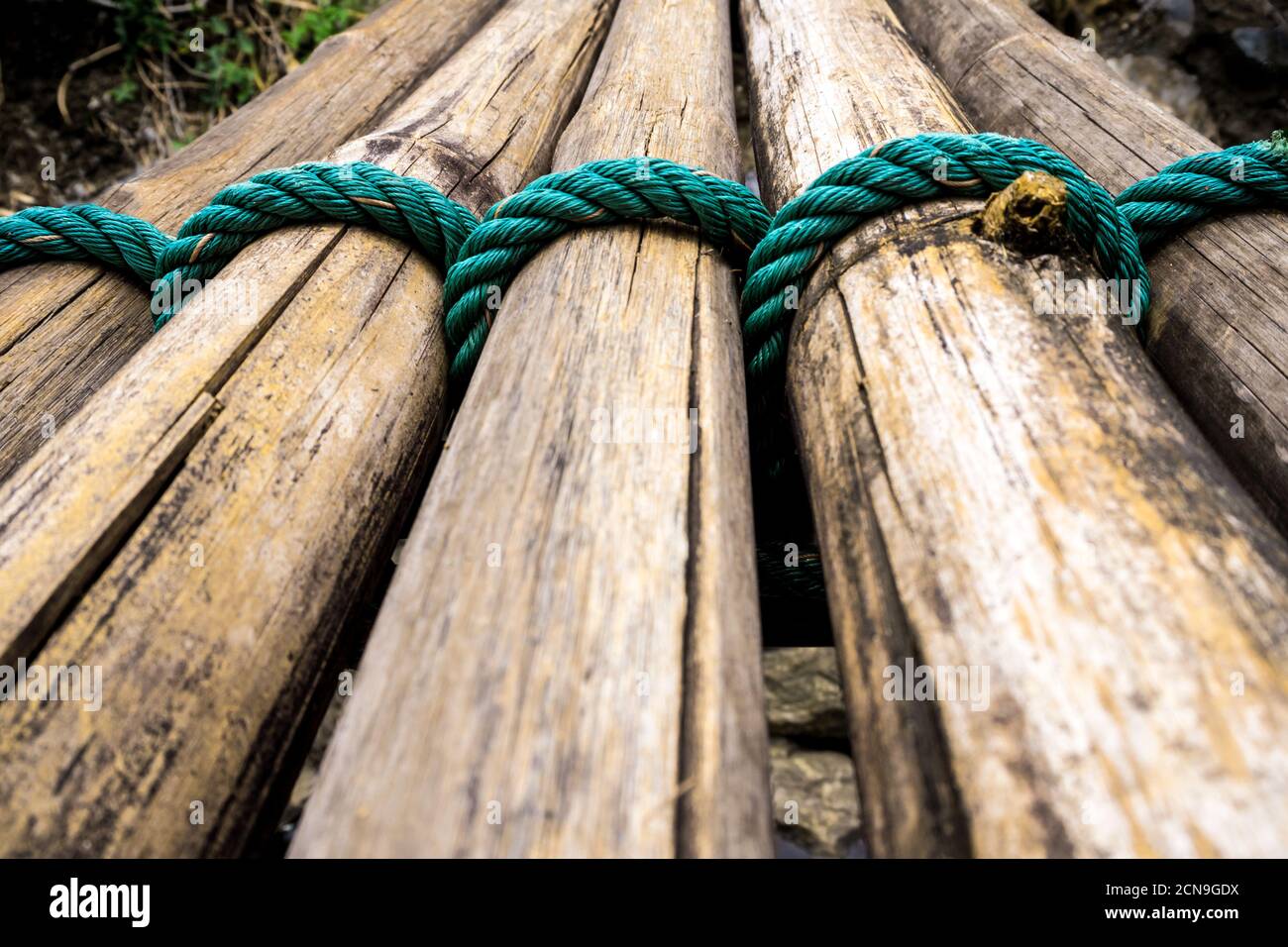 Dried bamboo tie with green nylon rope as a small bridge Stock Photo - Alamy