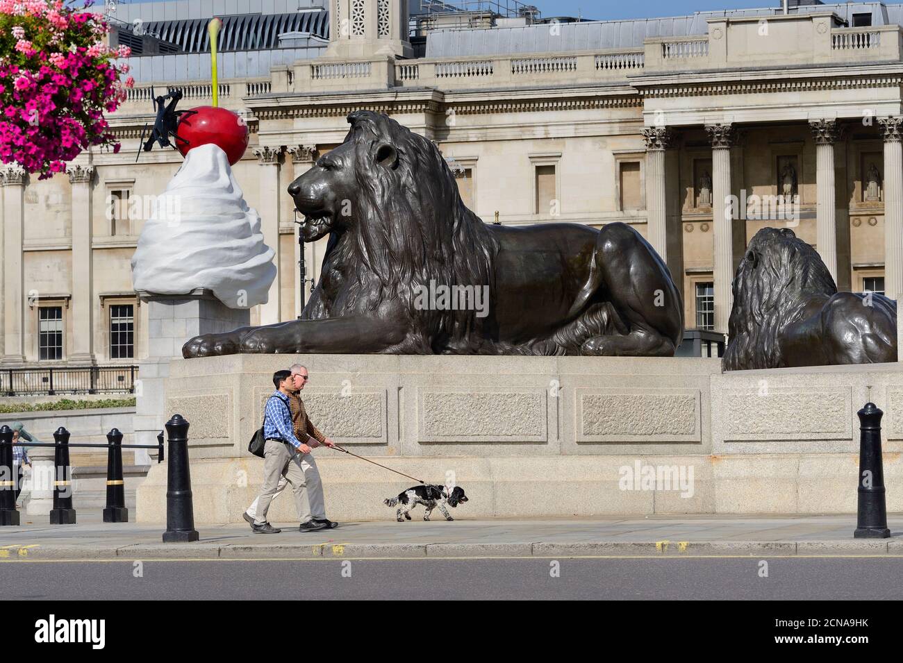 London, England, UK. Trafalgar Square bronze lion (Edwin Landseer