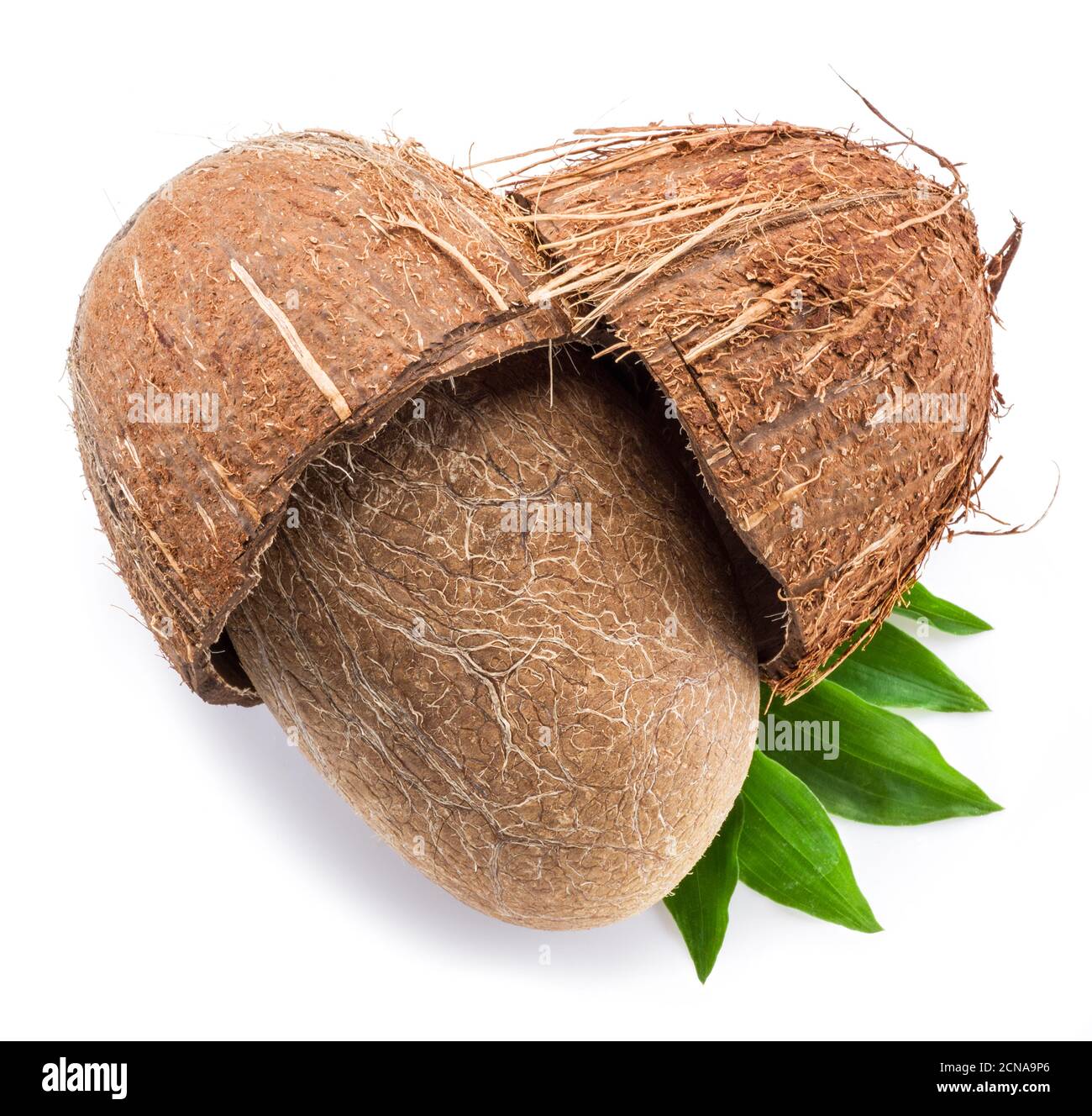 Split coconut fruit with whole inside seed over green leaves isolated on white background. Stock Photo