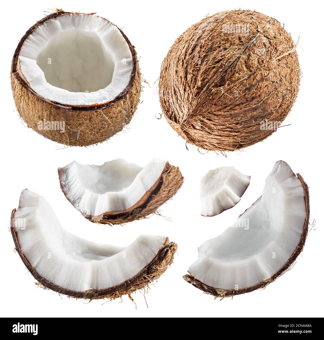 Different coconuts with pieces of cracked coconut fruit with white flesh isolated on white background. Stock Photo