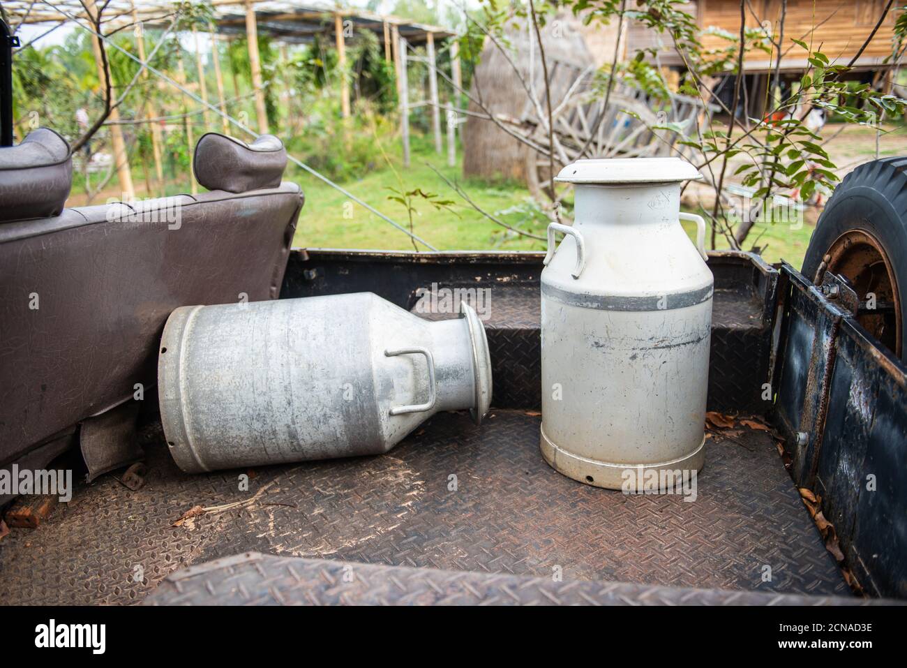 Old milk can in farm.old milk canisters at a farm. Stock Photo