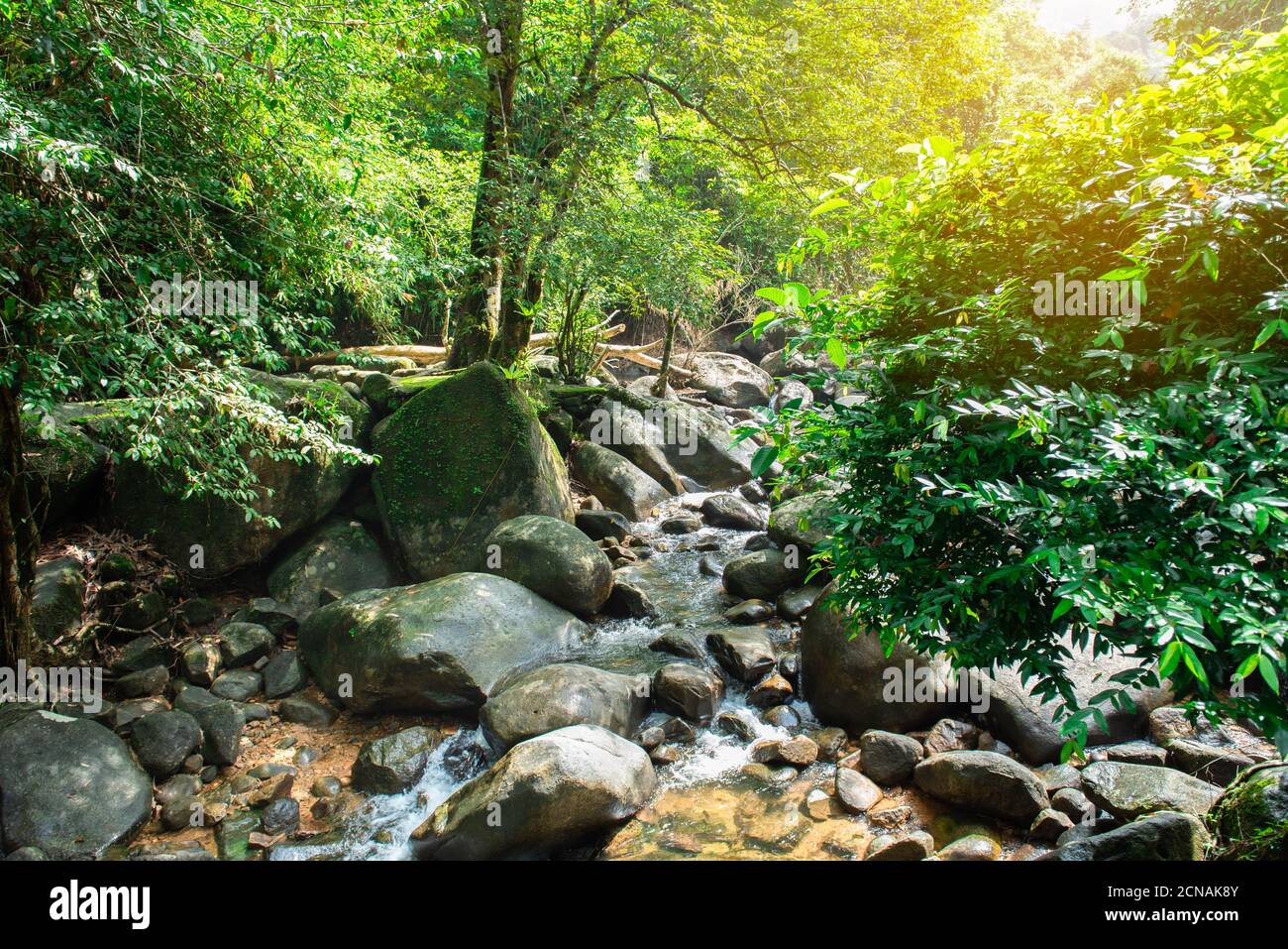 The beauty of nature in Phlio Waterfall National Park sign at Chanthaburi, Thailand. Stock Photo