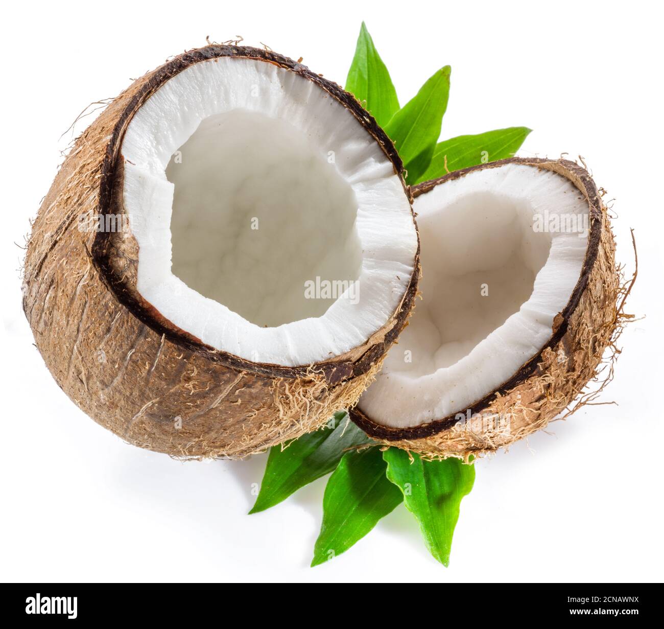Cracked coconut fruit with white flesh isolated on white background. Stock Photo