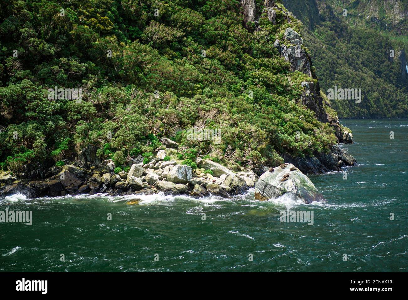 Sunning hill park hi-res stock photography and images - Alamy