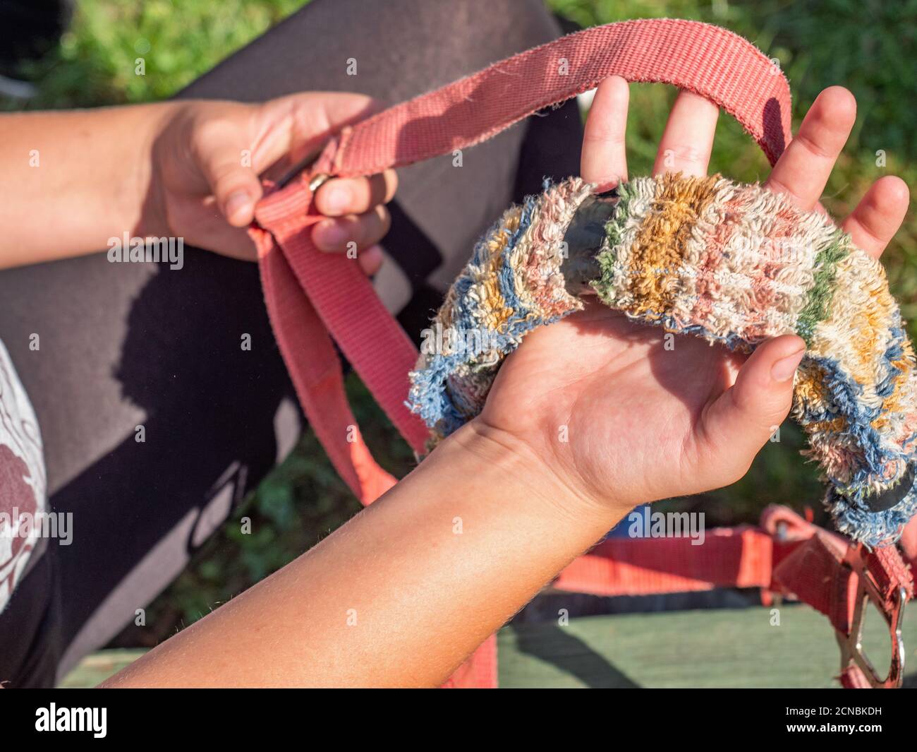 Set stripped pieces ands straps of horse bridle together Stock Photo