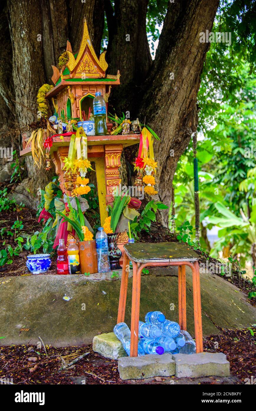 A spirit house on earth mound with a huge tree stands behind