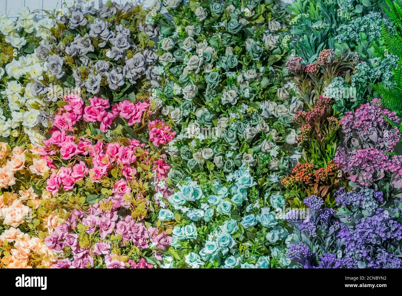 artificial blooming roses of orange, blue and pink color background Stock Photo