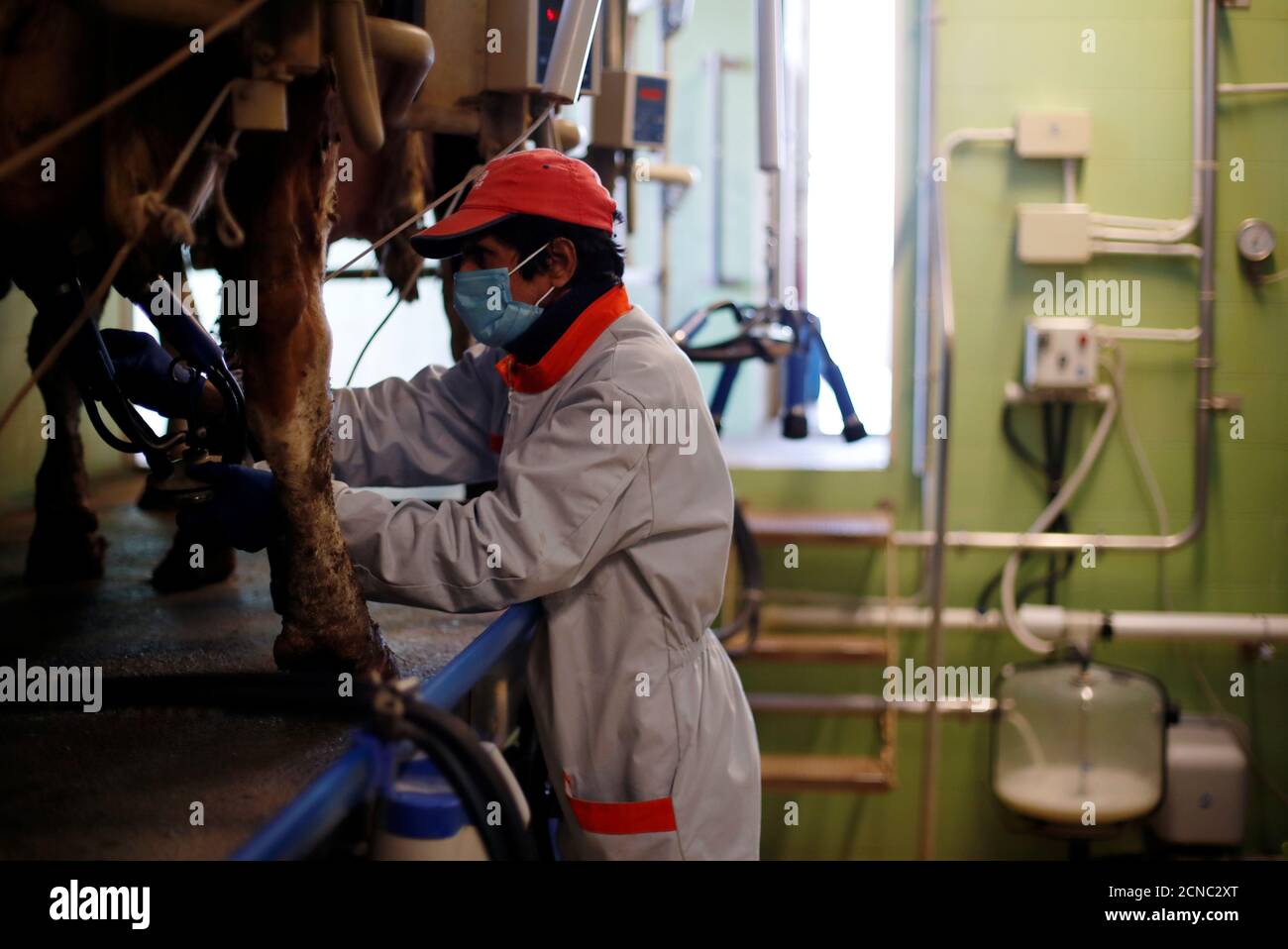 Fasano hi-res stock photography and images - Page 11 - Alamy