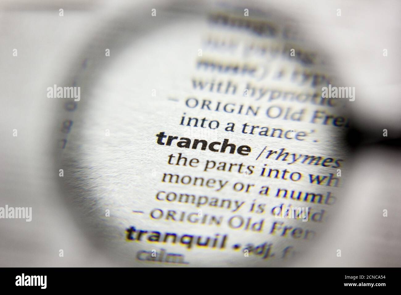 The word or phrase Tranche in a dictionary Stock Photo