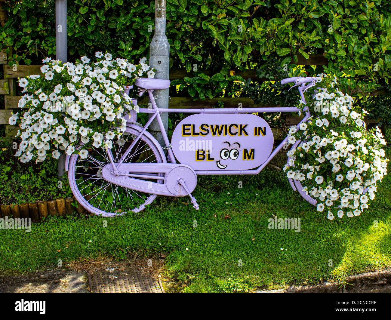 Bicycle used as a flower basket Stock Photo