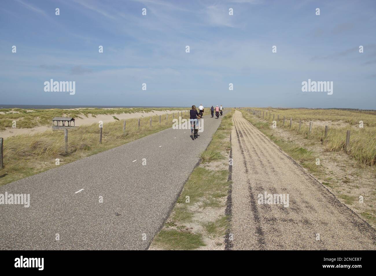 Cycle path with cyclists in the Dutch artificial dunes (Hondsbossche ...
