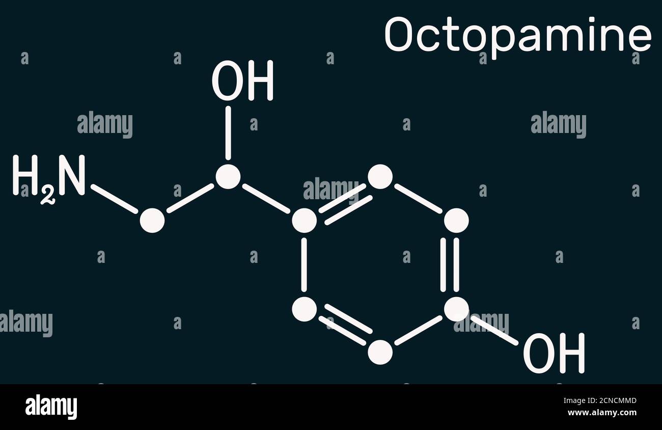 Octopamine molecule. It is biogenic phenylethanolamine, sympathomimetic drug. Skeletal chemical formula on the dark blue background. Illustration Stock Photo