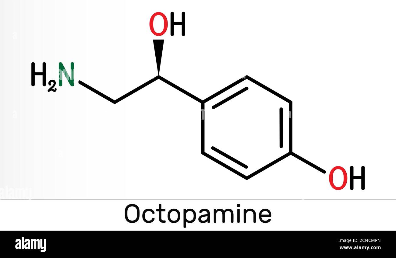 Octopamine molecule. It is biogenic phenylethanolamine, sympathomimetic drug. Skeletal chemical formula. Illustration Stock Photo
