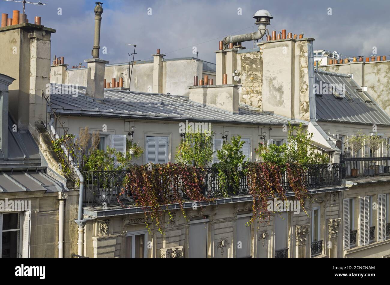 Balcony, decorated with flowers and small shrubs. Stock Photo