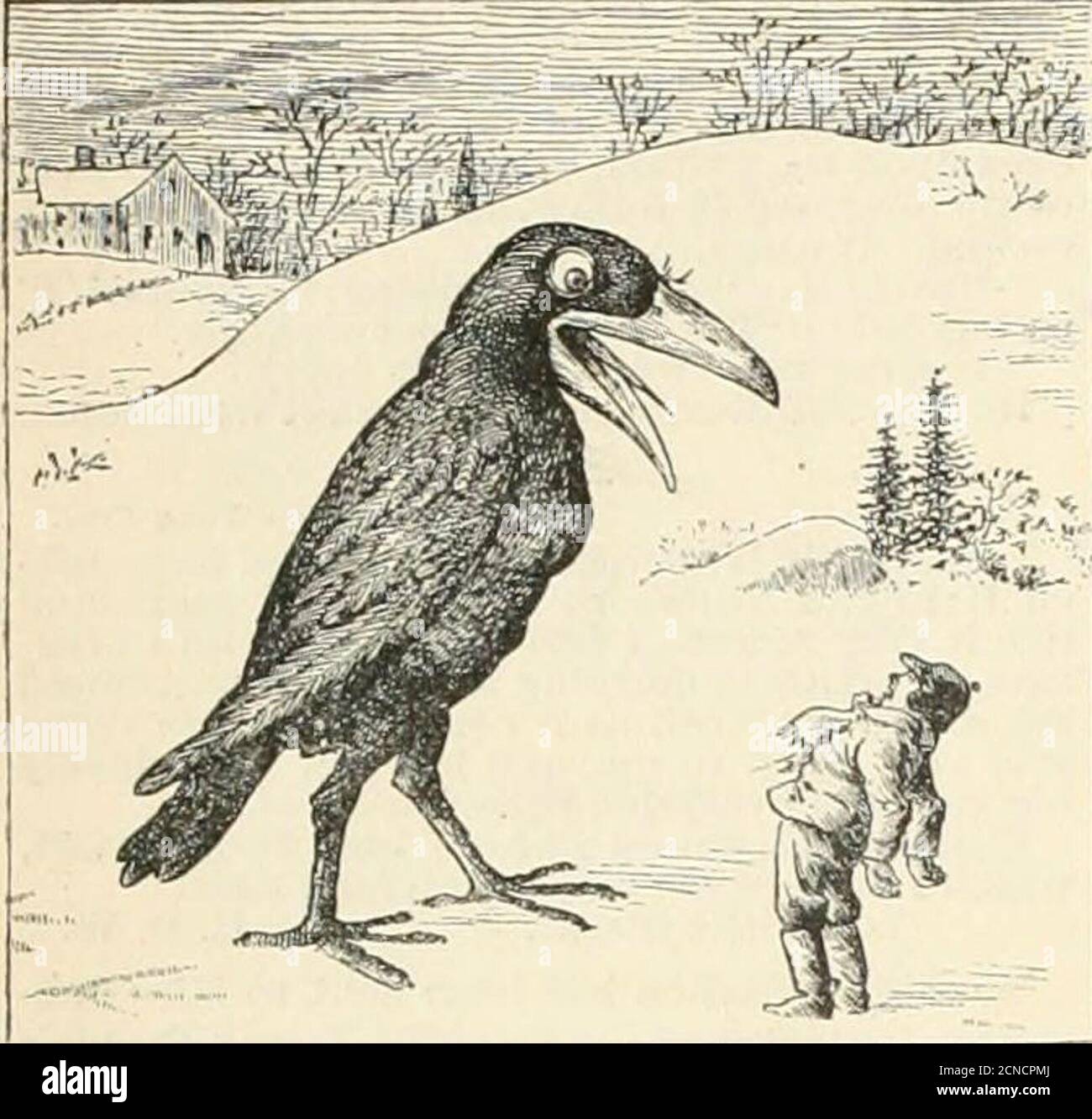 M B W High Resolution Stock Photography And Images Page 52 Alamy