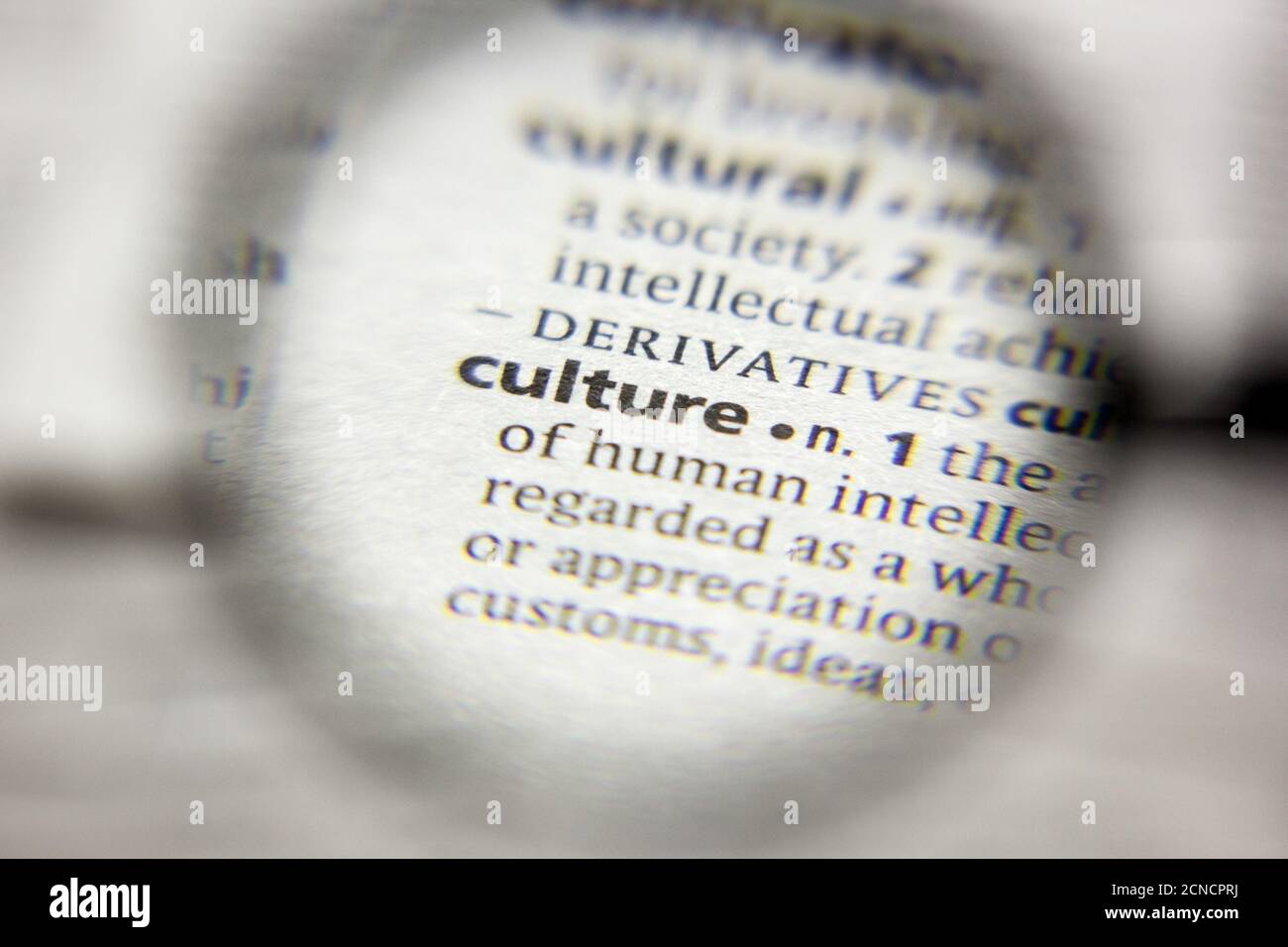 CULTURE DICTIONARY DEFINITION visual data 7