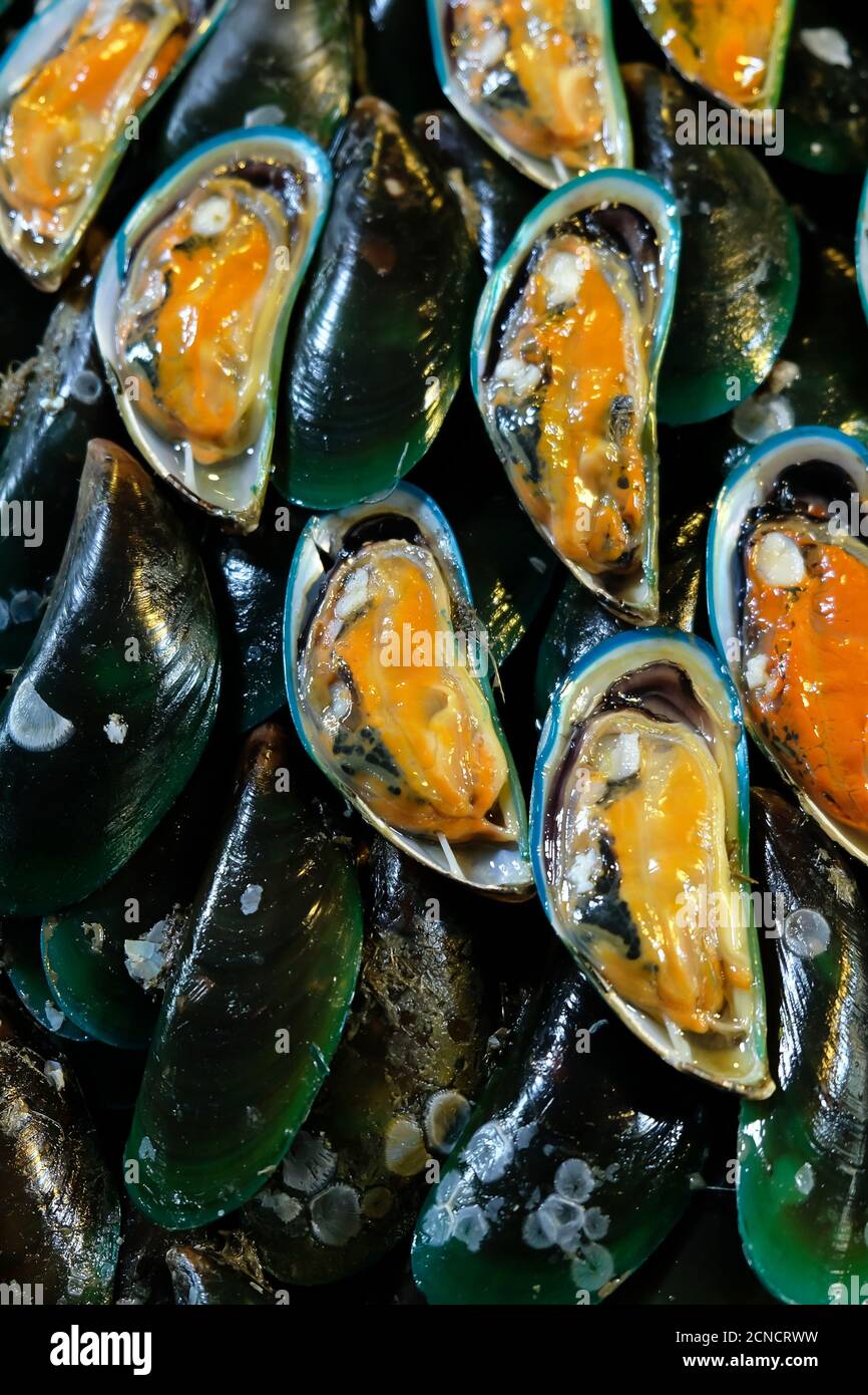 Asian green mussel hires stock photography and images Alamy