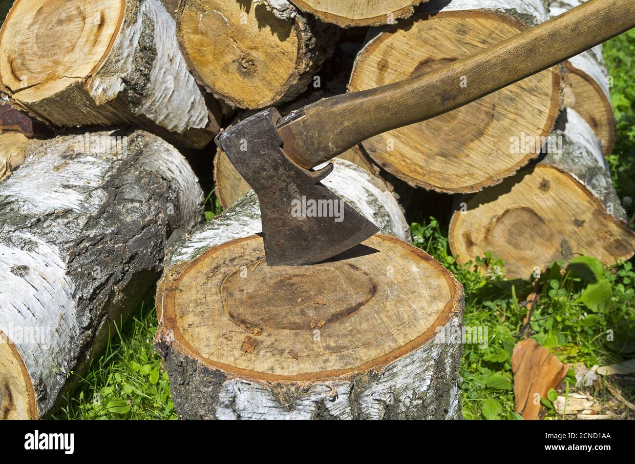 Old ax stuck in a birch deck Stock Photo