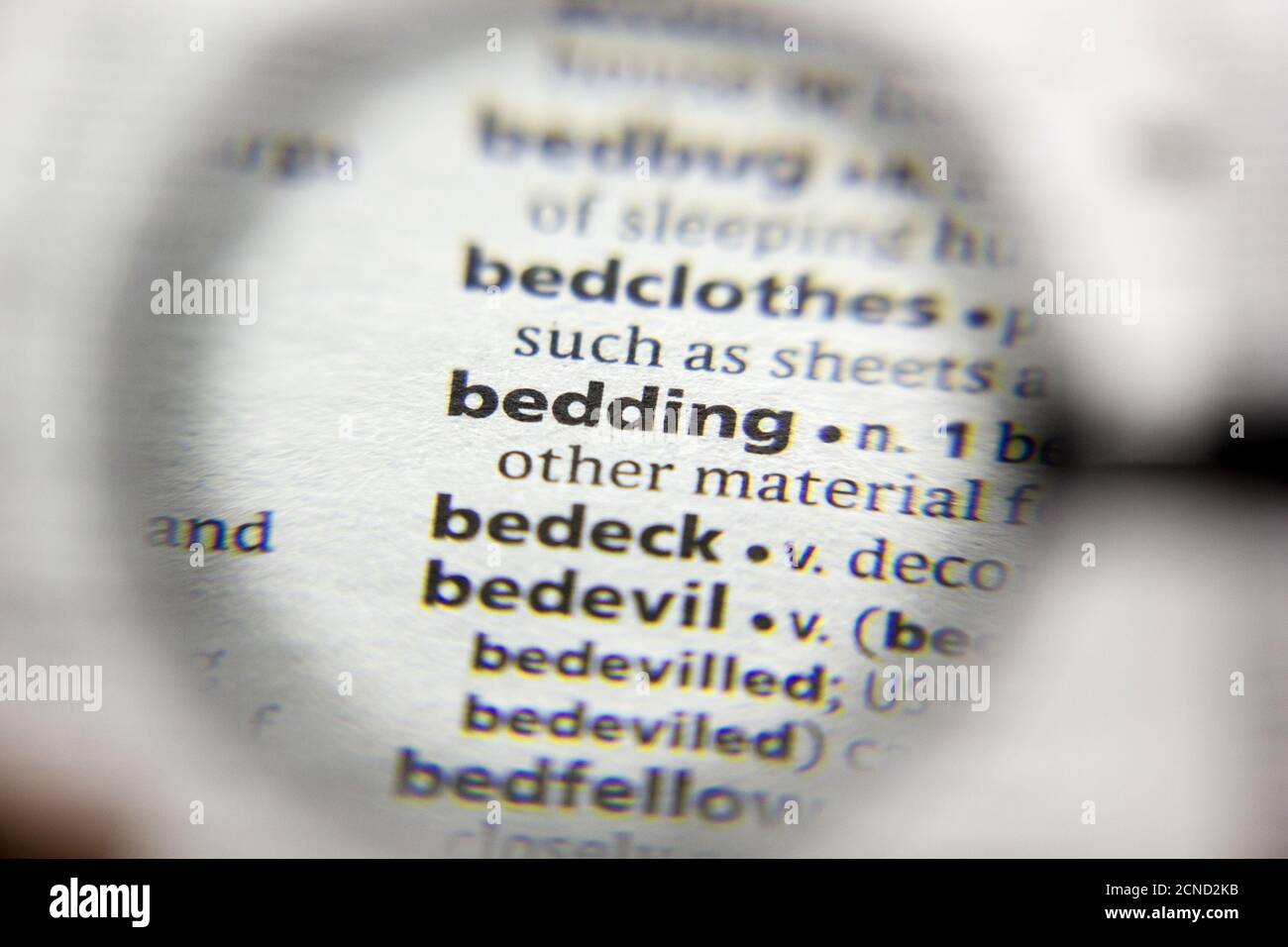 The word or phrase Bedding in a dictionary Stock Photo Alamy