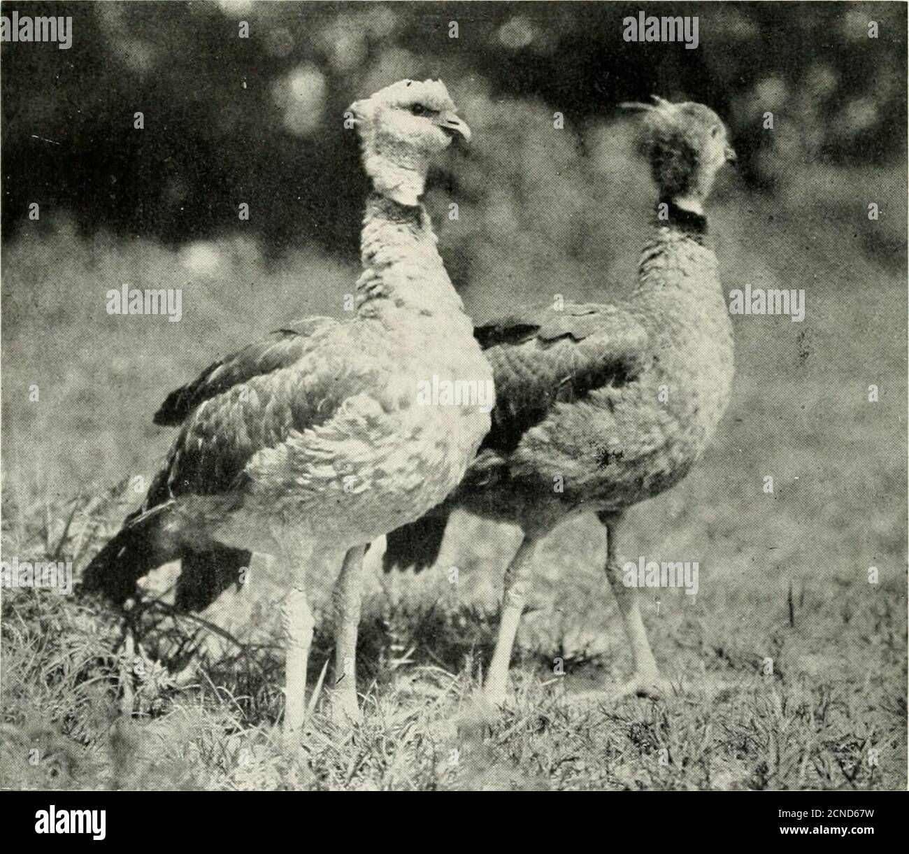 Floating in thin air hi-res stock photography and images - Alamy