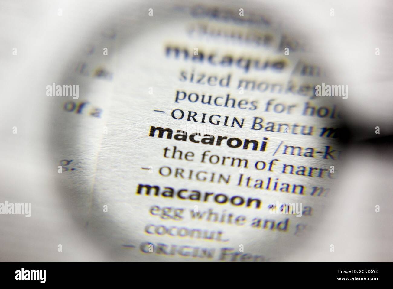 The word or phrase Macaroni in a dictionary Stock Photo Alamy