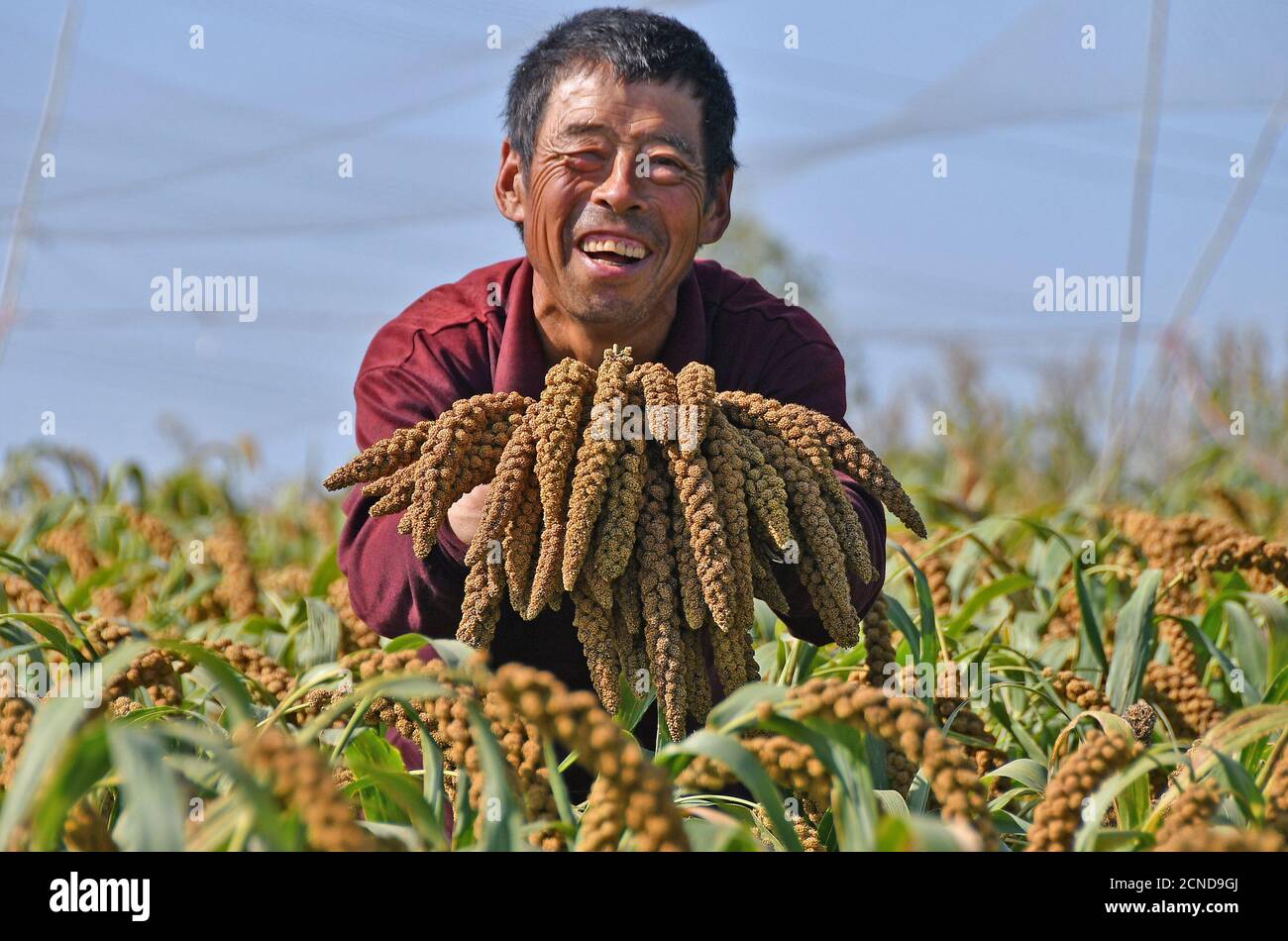 Cutting competition hires stock photography and images Alamy