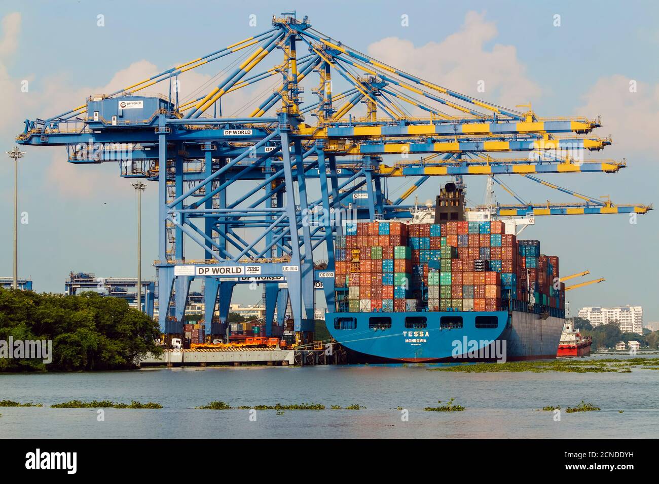 Ship and cranes at Vallarpadam International Transshipment Container Terminal, a major Indian port, Kochi (Cochin), Kerala, India, Asia Stock Photo