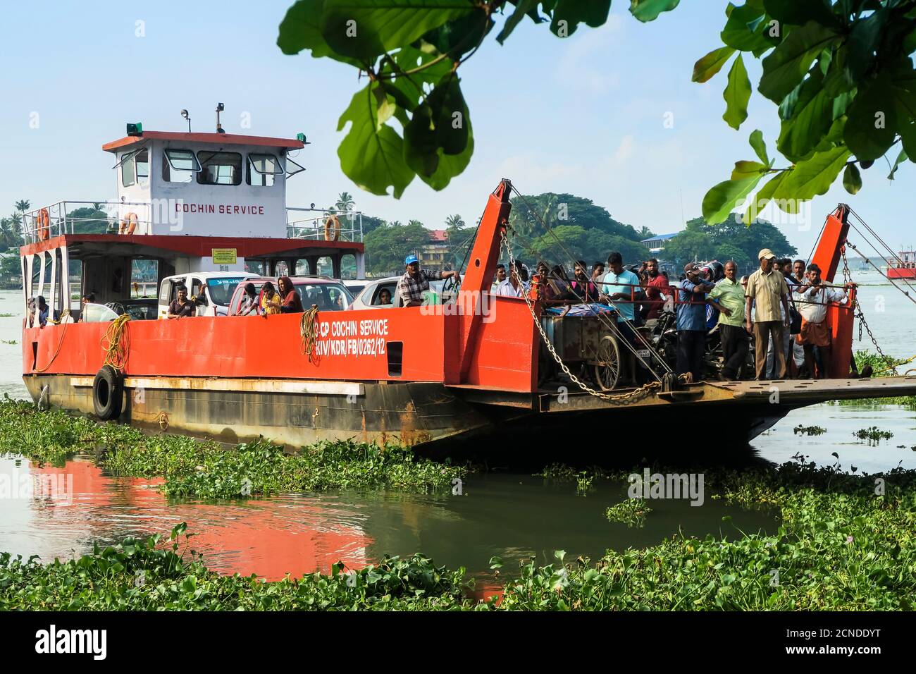 Arrival to the Kochi waterfront of the busy Fort Cochin to Fort Vypin car and passenger ferry, Kochi (Cochin), Kerala, India, Asia Stock Photo