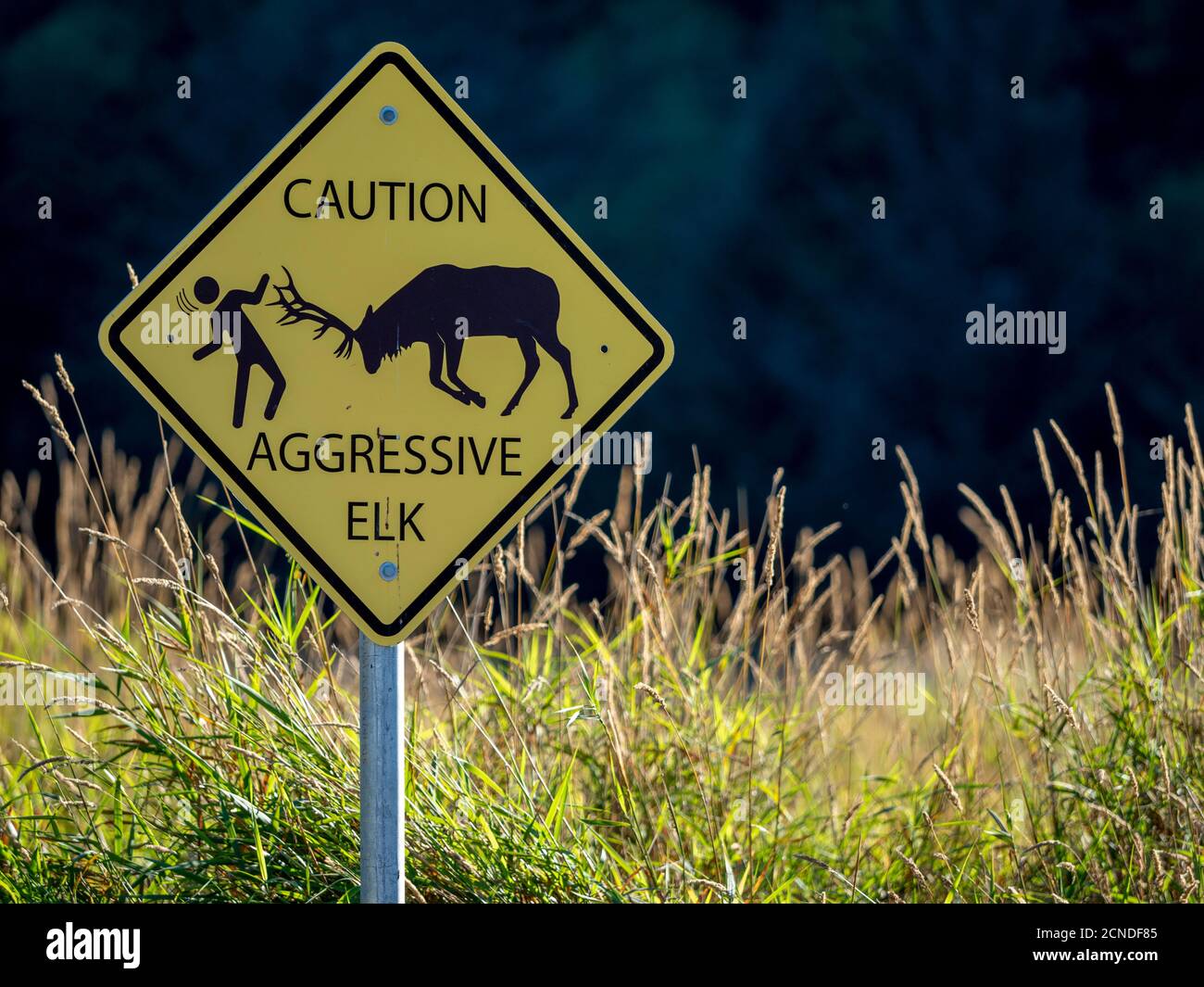 Caution sign on the Lady Bird Johnson Trail in Redwood National Park, UNESCO World Heritage Site, California, United States of America Stock Photo