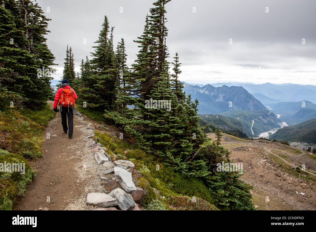 Views from the Skyline Trail of Mount Rainier National Park, Washington State, United States of America Stock Photo