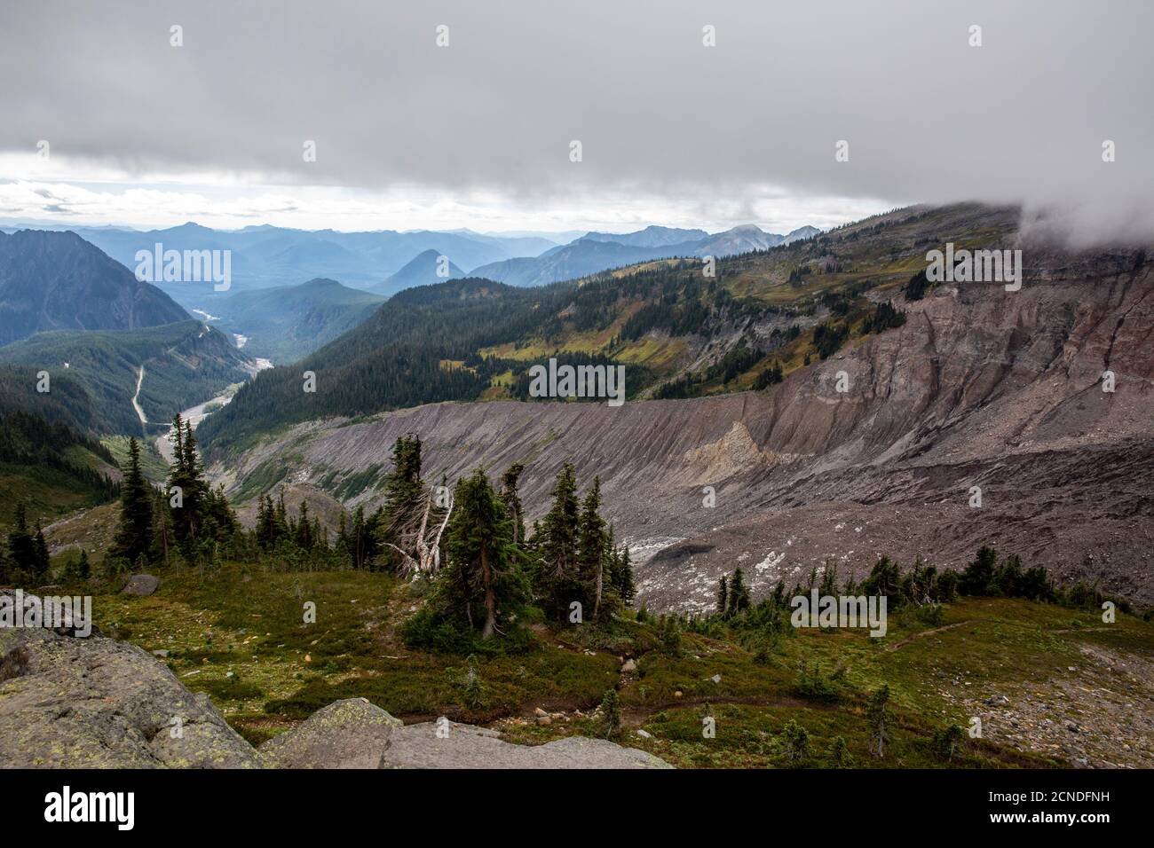 View of the Deadhorse Creek Trail, Mount Rainier National Park, Washington State, United States of America Stock Photo
